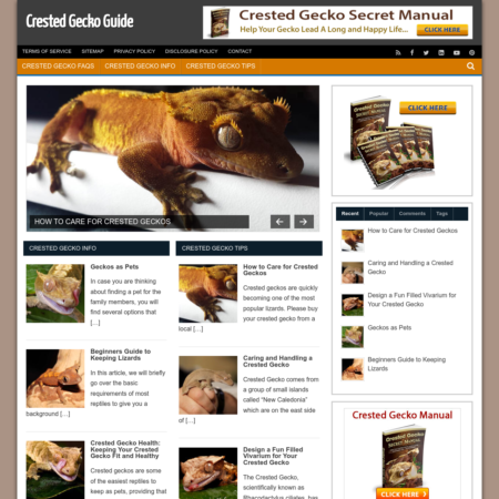 Crested Gecko Guide Website
